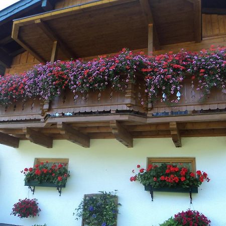 Gondelblick Appartement Wagrain Buitenkant foto