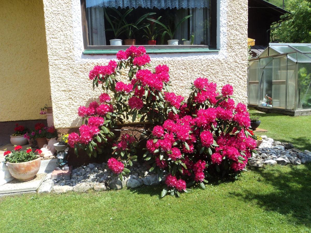 Gondelblick Appartement Wagrain Buitenkant foto